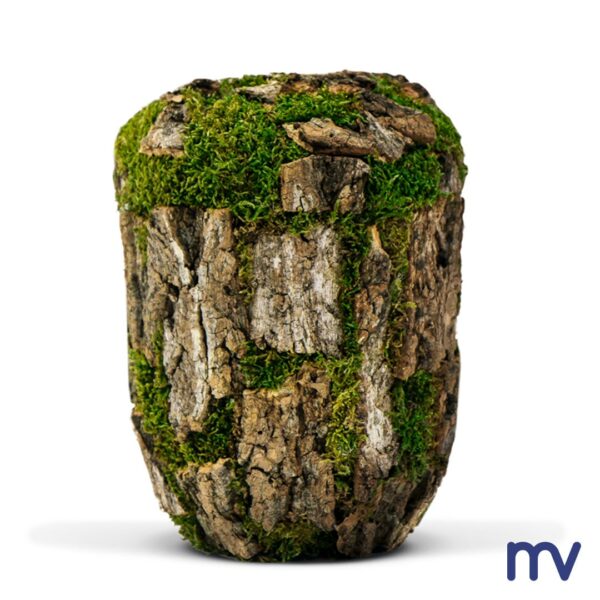 Morivita