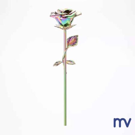Morivita - Multicolore rose funéraire